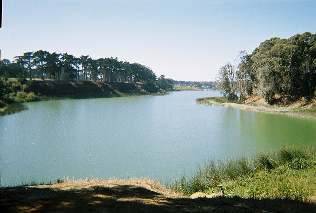 Lake Merced