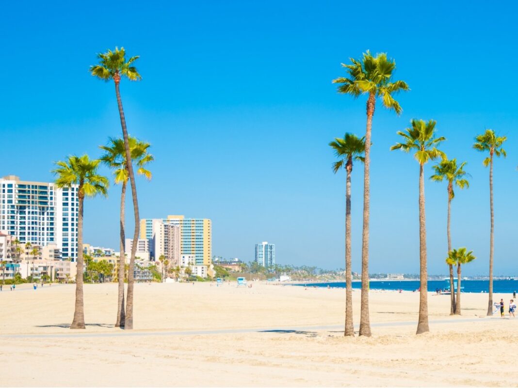 long-beach-california-skyline-beach-palm-trees-picture-id509702533-1
