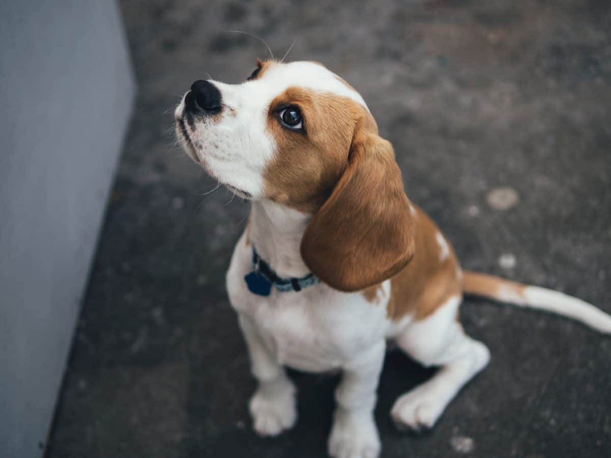 marcus-wallis-471438-unsplash