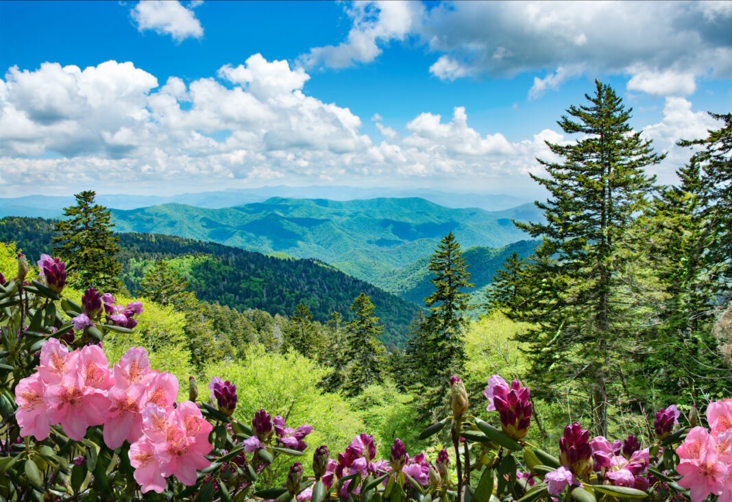 What is the Cost of Living in North Carolina?